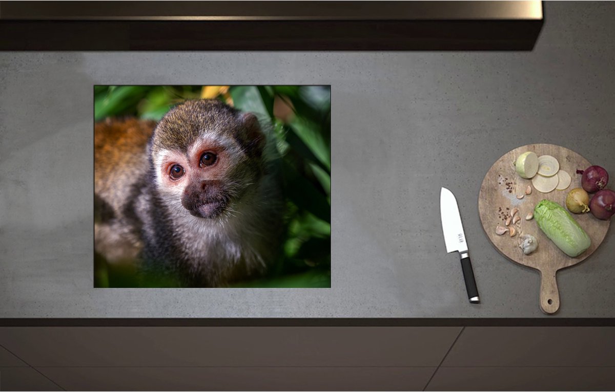 Inductieplaat Beschermer - Aankijkende Eekhoorn Aap tussen de Groene Begroeiing - 58x50 cm - 2 mm Dik - Inductie Beschermer - Bescherming Inductiekookplaat - Kookplaat Beschermer van Wit Vinyl