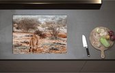 Inductieplaat Beschermer - Achteraanzicht van Sluipende Leeuw in Afrikaans Landschap - 71x51 cm - 2 mm Dik - Inductie Beschermer - Bescherming Inductiekookplaat - Kookplaat Beschermer van Zwart Vinyl