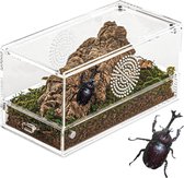 Boîte de terrarium en Acryl pour reptiles, bouton magnétique, terrarium d'insectes transparent, terrarium d'escargots à microhabitat pour petits reptiles, araignées, escargots, 20x10x10 cm