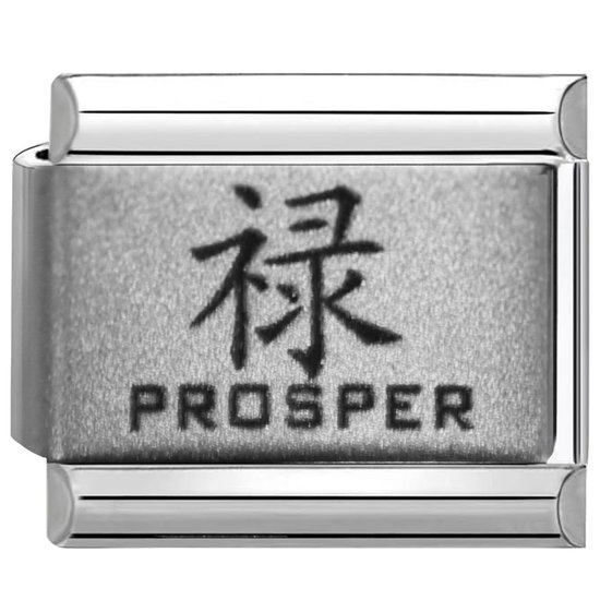 Quiges - Schakel - Bedel - 9mm - charms - Kleurrijk - Prosper in het Chinees - Geschikt voor - Nomination- armband - Schakelarmband - italy bedels armband