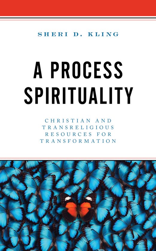 A Process Spirituality - cover