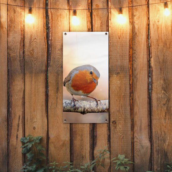 Affiche de jardin Robin - Branche - Arbre - 40x80 cm - Décoration murale Extérieur - Affiche de jardin - Toile de jardin - Affiche de clôture - Peinture de jardin