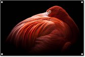 Tuinposters buiten Flamingo - Veren - Roze - 90x60 cm - Tuindoek - Buitenposter