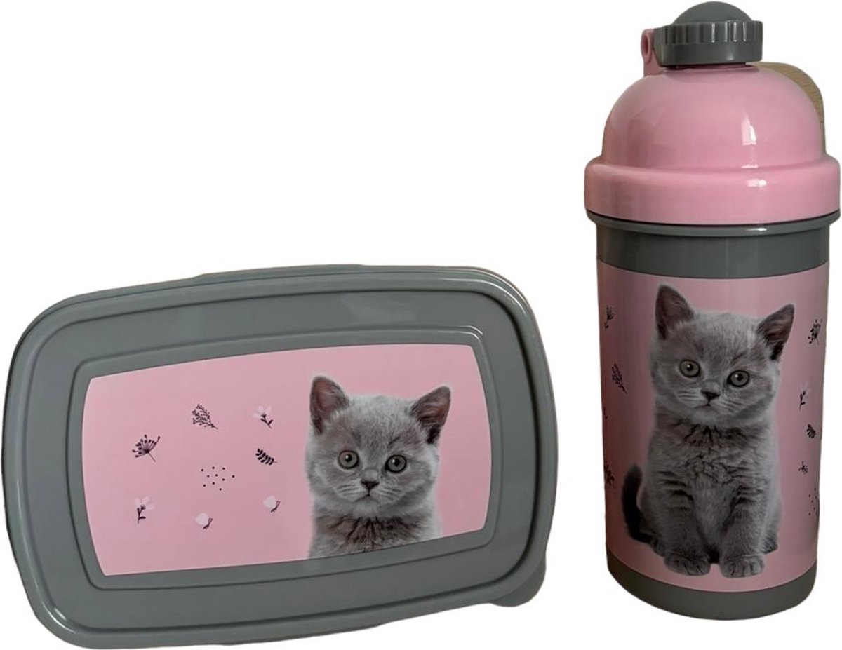 Paso waterfles en broodtrommel - bidon - lunchbox - drinkfles - 550 ml - 18,5x13x6cm - kat poes