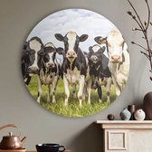 Cercle mural Koetjes | Forex | Ø 60 cm | Système de suspension inclus