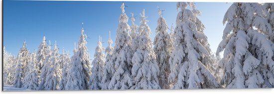 Dibond - Sneeuw - Bomen - Bos - Landschap - 90x30 cm Foto op Aluminium (Met Ophangsysteem)