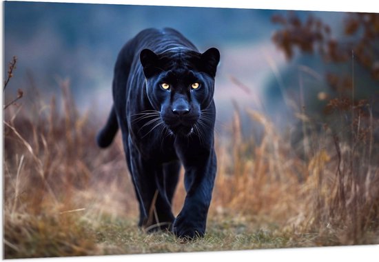 Acrylglas - Panter -Zwart - Dier - Wid - 150x100 cm Foto op Acrylglas (Wanddecoratie op Acrylaat)