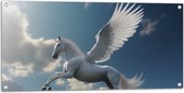 Tuinposter – Paard - Vliegen - Wit - Lucht - Wolken - 100x50 cm Foto op Tuinposter (wanddecoratie voor buiten en binnen)