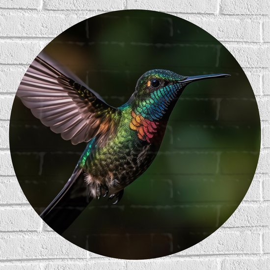 Muursticker Cirkel - Vogel - Kleuren - Dier - Vliegen - Natuur - 70x70 cm Foto op Muursticker