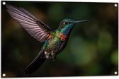 Tuinposter – Vogel - Kleuren - Dier - Vliegen - Natuur - 90x60 cm Foto op Tuinposter (wanddecoratie voor buiten en binnen)