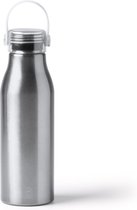 Zilverkleurige Design Waterfles/drinkfles/sportfles - aluminium - 750 ml - schroefdop Merk: Stamina