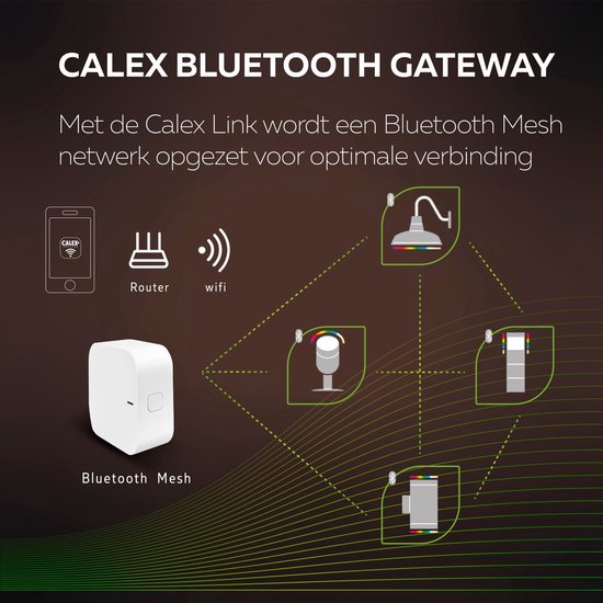 Calex Smart Outdoor LED XL Grondspot - Slimme Tuinverlichting Waterdicht - Prikspot - RGB en Warm Wit Licht - Tuinspot 9W - Zwart