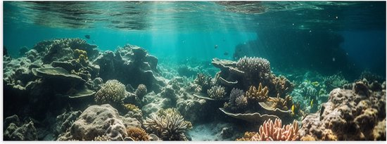Poster (Mat) - Onderwater - Zee - Water - Koraal - Dieren - Kleuren - Zand - 90x30 cm Foto op Posterpapier met een Matte look