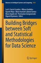 Advances in Intelligent Systems and Computing 1433 - Building Bridges between Soft and Statistical Methodologies for Data Science