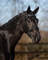 Qhp Voorbrenghoofdstel Vesta Zwart - paard