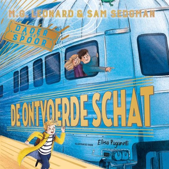 De ontvoerde schat - cover