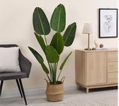 OZAIA Artificiële bananenboom met pot - H160 cm - Groen - NENDAZ L 60 cm x H 160 cm x D 60 cm