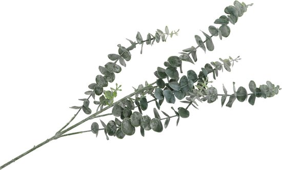 DK Design Kunstbloem Eucalyptus tak Real Touch - 88 cm - groen - losse steel - Kunst zijdebloemen