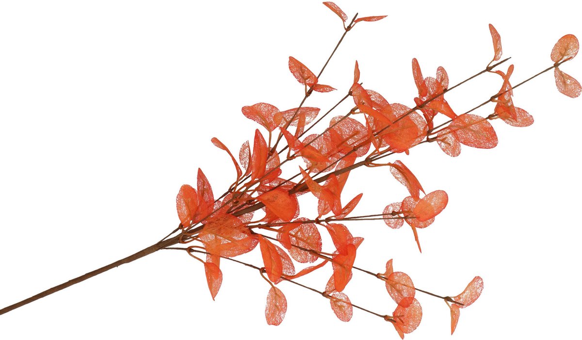 DK Design Kunstbloem Eucalyptus tak Silk - 72 cm - oranje - losse steel - Kunst zijdebloemen