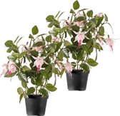 2x Lichtroze fuchsiaplant kunstplant 30 cm voor binnen - kunstplanten/nepplanten/binnenplanten
