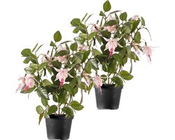 Kunstplant met bloemen - 2x - fuchsia roze - 30 cm - Kamerplant met bloemetjes
