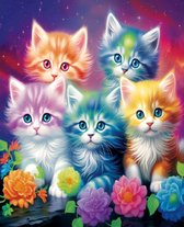 Diamond painting chatons 30x40 pierres rondes