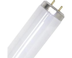 SPL G13 T12 TL-Buis | 40W 6500K 3000lm 865 | 1199mm