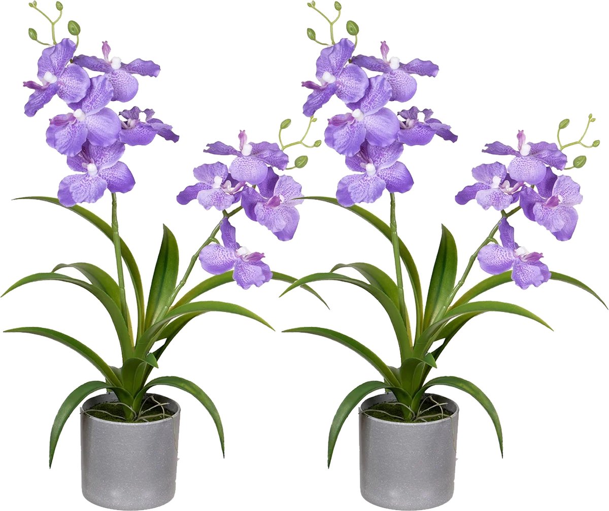 Louis Maes Orchidee bloemen kunstplant in bloempot - 2x - paars bloemen - H38 cm