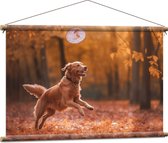 Textielposter - Hond - Dier - Spelen - Bos - Bladeren - Herfst - 90x60 cm Foto op Textiel