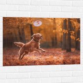 Muursticker - Hond - Dier - Spelen - Bos - Bladeren - Herfst - 90x60 cm Foto op Muursticker