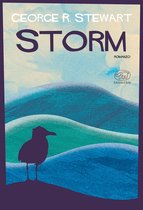 Rive Gauche - Fiction e non-fiction americana - Storm