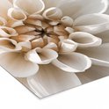 Product afbeelding  7