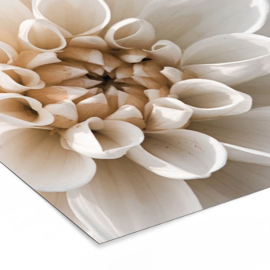 Fotolijst incl. Poster - Bloemen - Wit - Natuur - 120x80 cm - Posterlijst