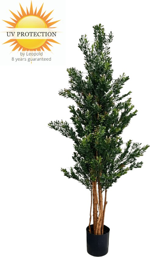Hoge Kunstplant Buxus 165cm UV groen/rood