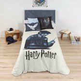 Noorse hoes Harry Potter 155 x 220 cm Bed van 90
