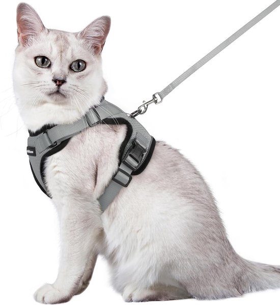 Harnais pour Chat avec Laisse Harnais Souple pour Harnais de Poitrine pour Chat. bol