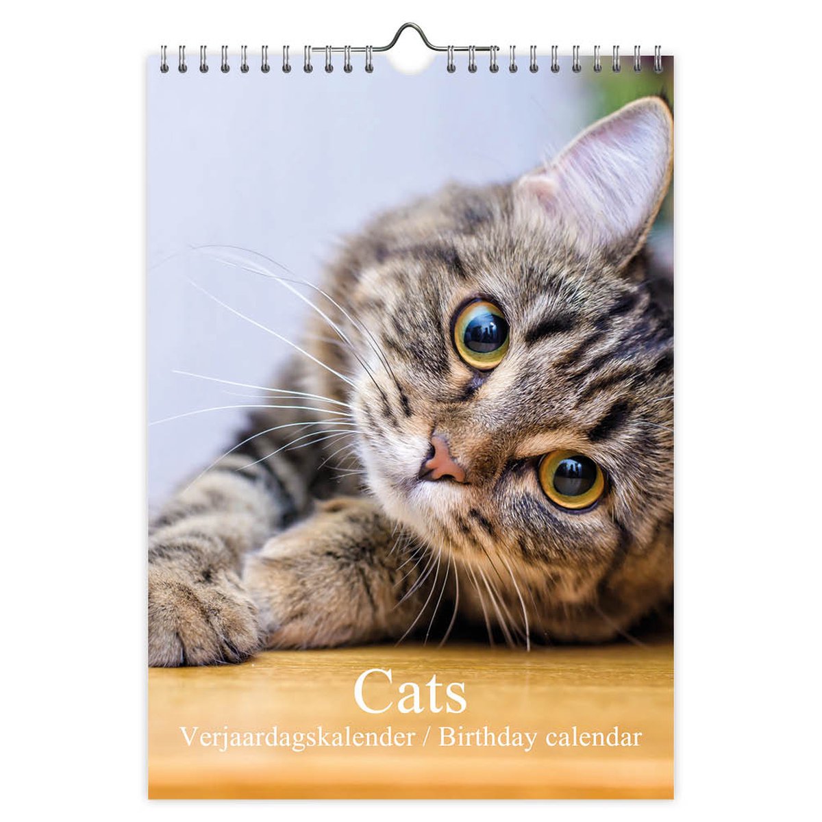 Cats verjaardagskalender - A4