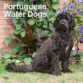 Portugese Waterhond Kalender 2024