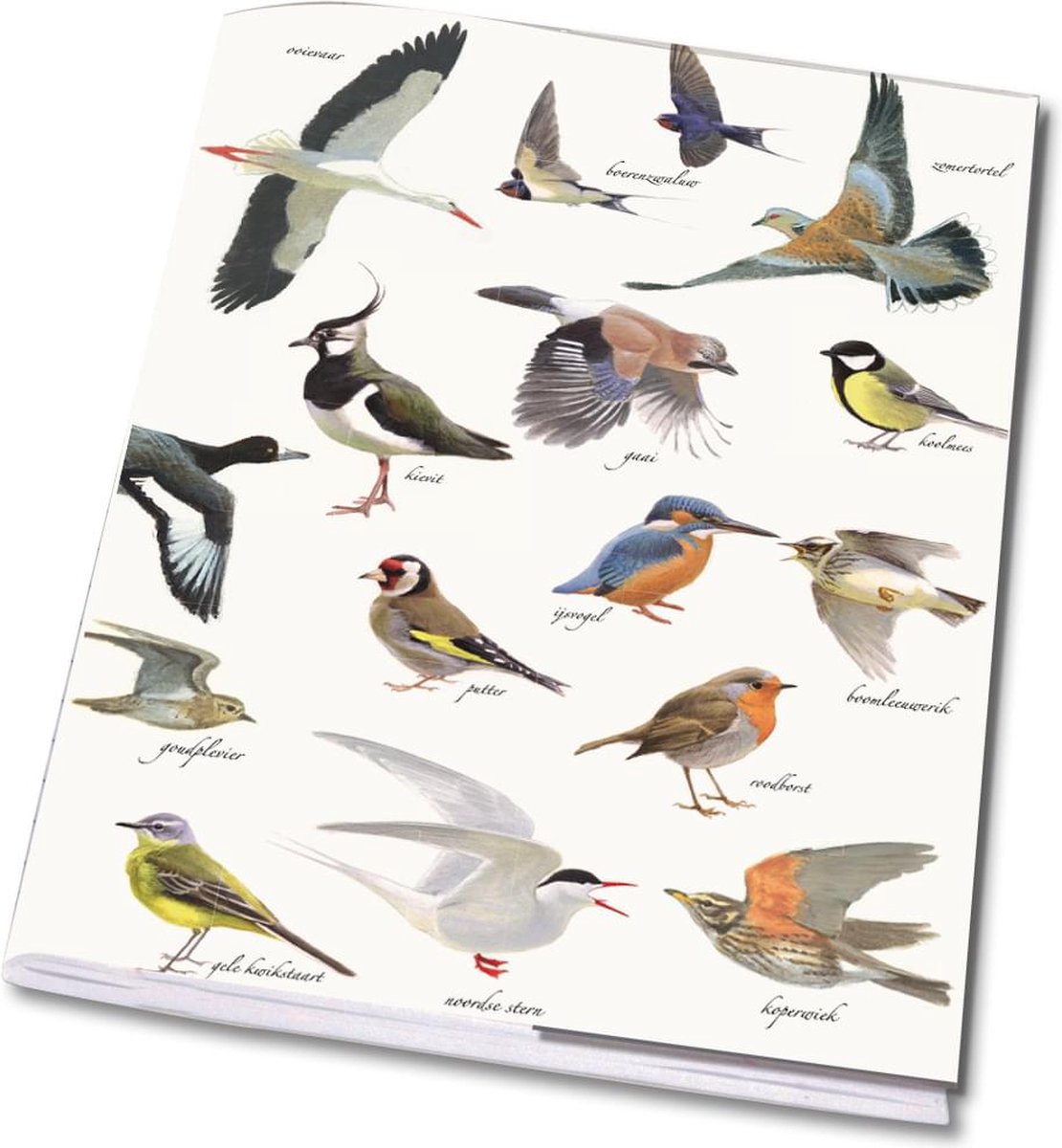 Bekking & Blitz Schrift A5 Vogels Natuurpunt