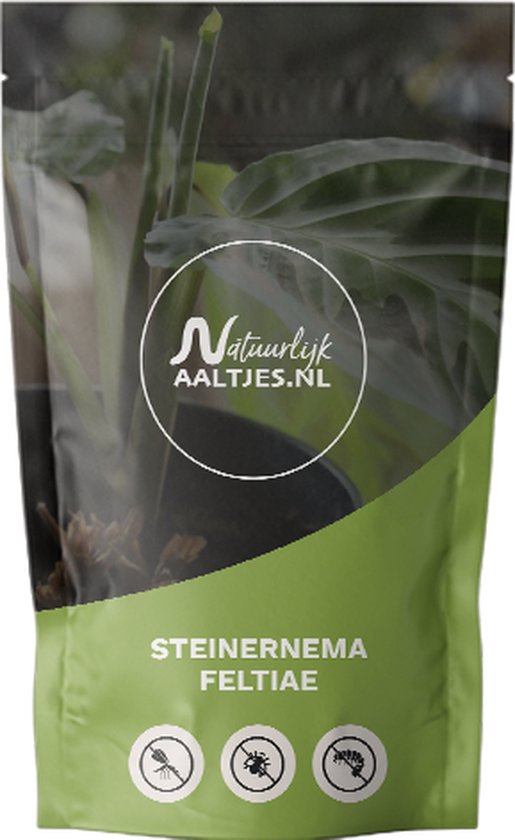 Poeder voor het bestrijden van kruipende insecten | 100% natuurlijk