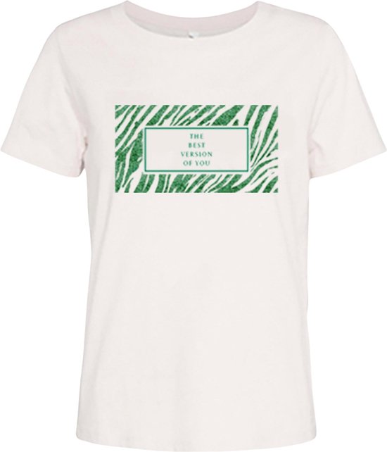 JDY Michigan T-shirt Vrouwen - Maat L