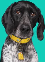 DWAM Dog with a Mission Halsband Hond – Hondenhalsband – Geel – XXL – Leer – Halsomvang tussen 55-65 x 4 cm – Blue Star