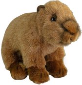 Nature Planet Knuffeldier Capybara - zachte pluche stof - premium knuffels - bruin - 20 cm