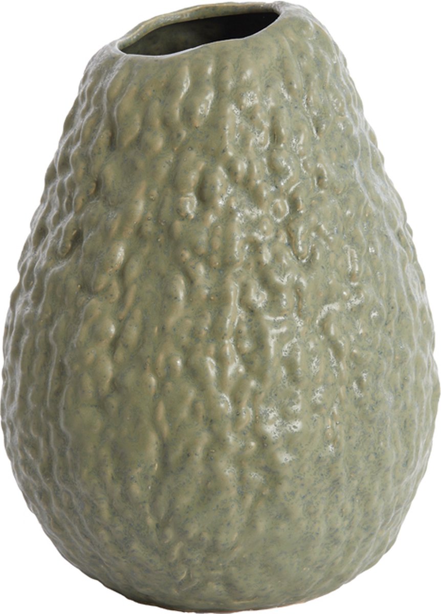 Light & Living Vaas AVOCADO - 22.5x22x29.5cm - Groen