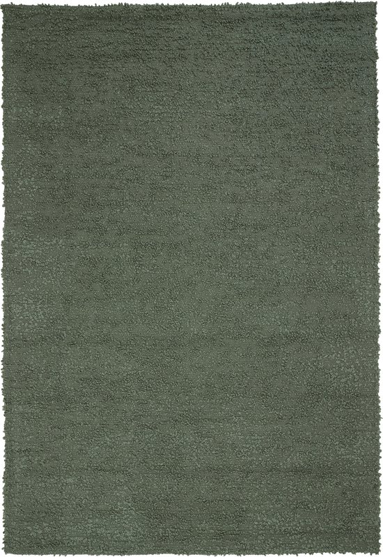 Light & Living - Vloerkleed HUMADA - 300x200x0.5cm - Groen