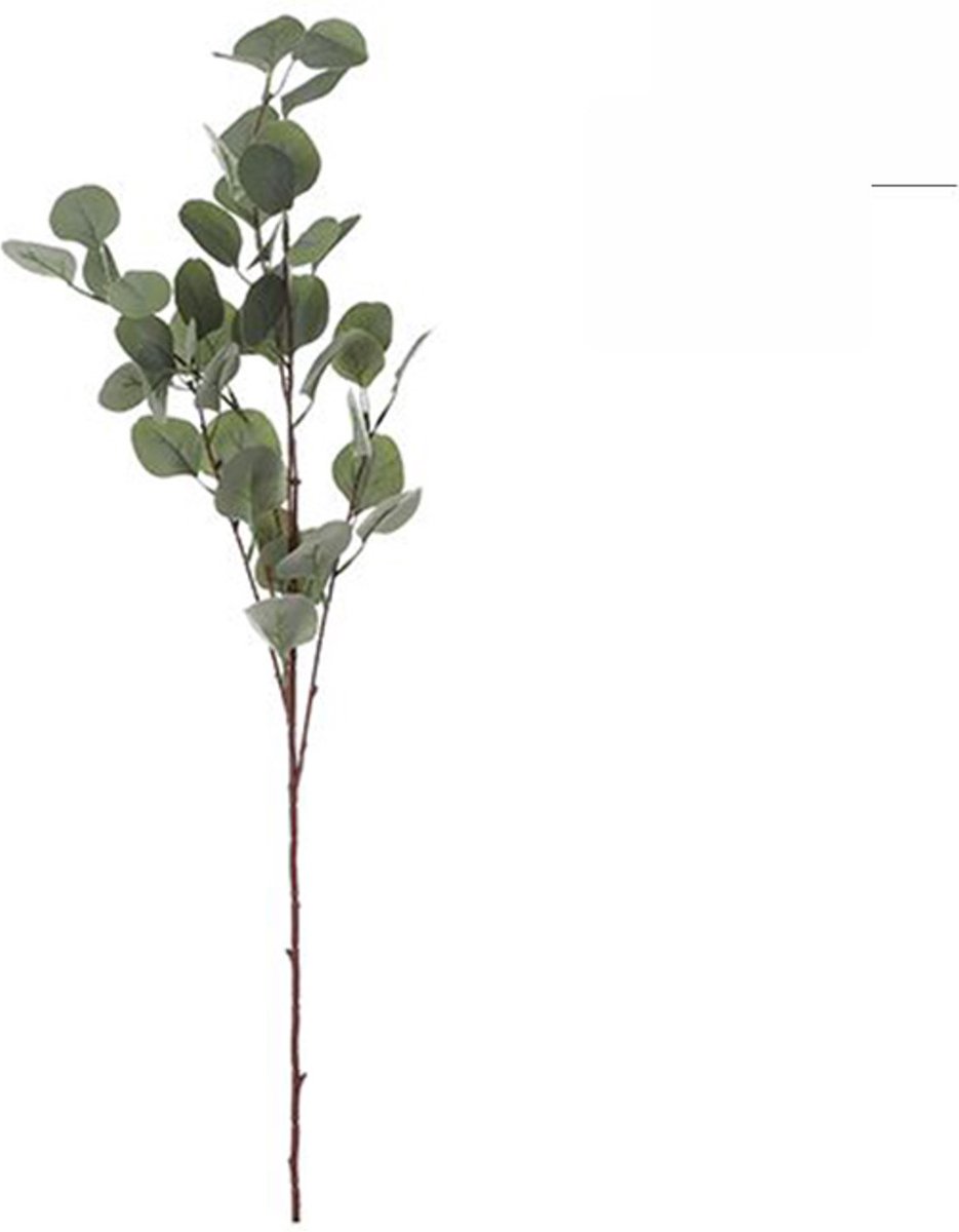 Mica Decorations MICA Eucalyptus Green 93cm groen
