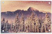 Tuinposter – Magisch Winter Landschap - 60x40 cm Foto op Tuinposter (wanddecoratie voor buiten en binnen)