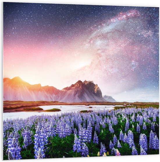 Impression sur toile murale 3D champ de lavande vue fenêtre