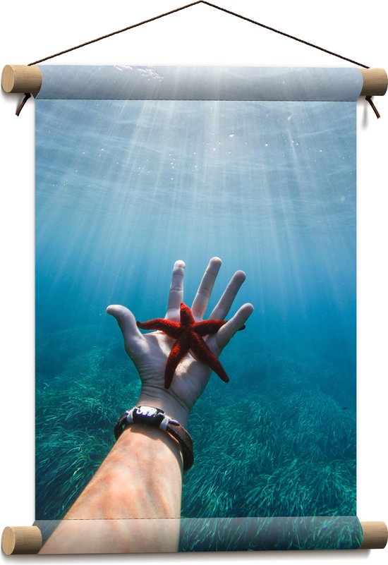 WallClassics - Textielposter - Rode Zeester Onder Water - 30x40 cm Foto op Textiel