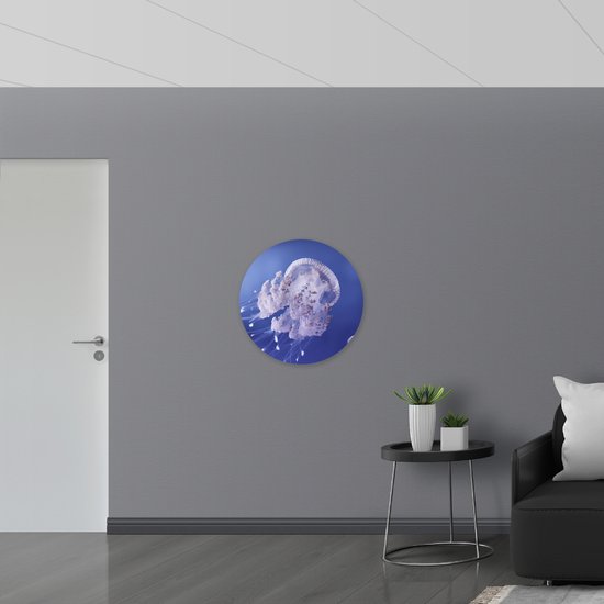 WallClassics - Cercle mural en panneau de mousse PVC - Méduse dans Water violette - 70x70 cm Photo sur cercle mural (avec système d'accrochage)